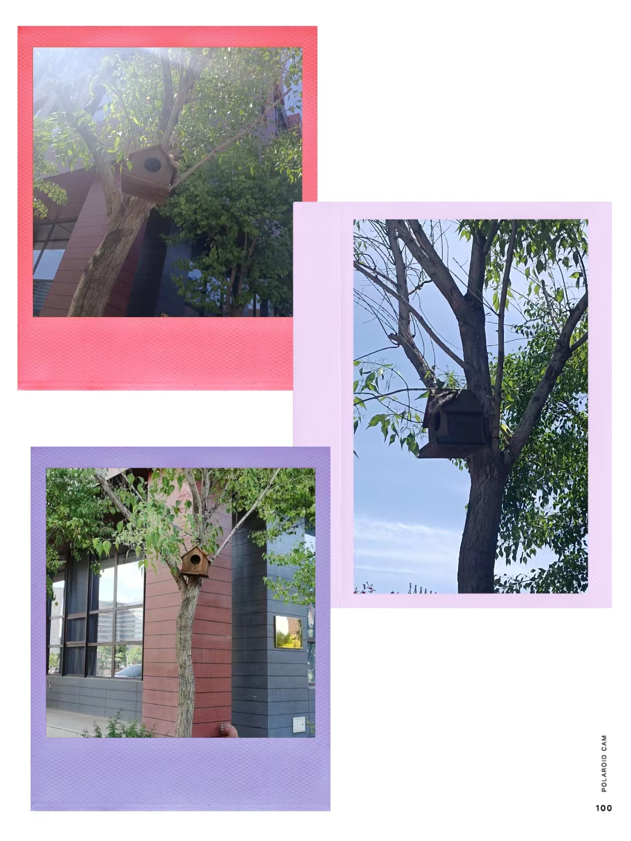 &#21326;&#20307;&#20250;&#104;&#116;&#104;